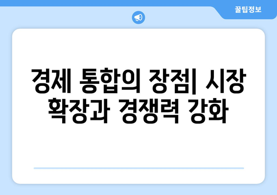 경제 통합의 장점과 리스크