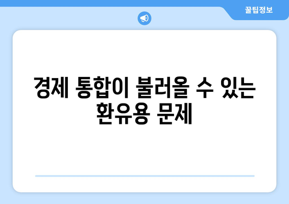 경제 통합의 장점과 리스크