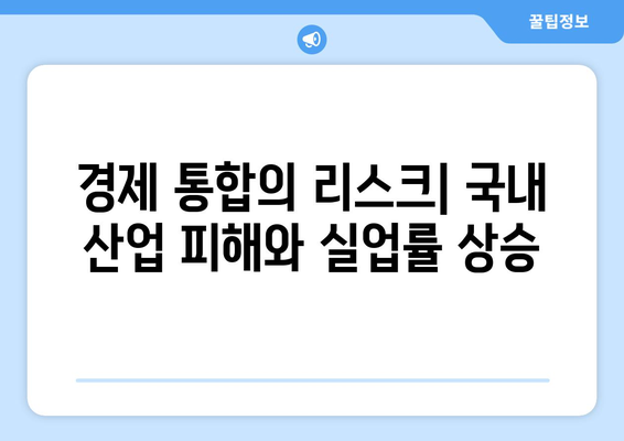 경제 통합의 장점과 리스크