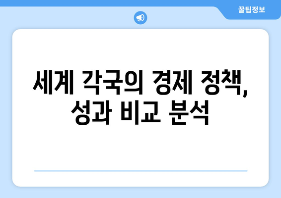 경제 정책의 국제적 사례 비교