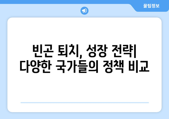 경제 정책의 국제적 사례 비교