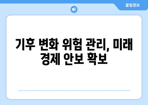 기후 변화에 대한 경제적 대응 전략