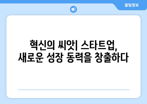 스타트업의 경제 성장 기여 분석