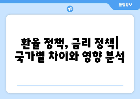 경제 정책의 국제적 사례 비교