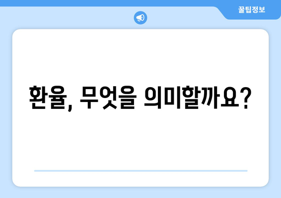 통화 가치와 환율의 이해 및 분석