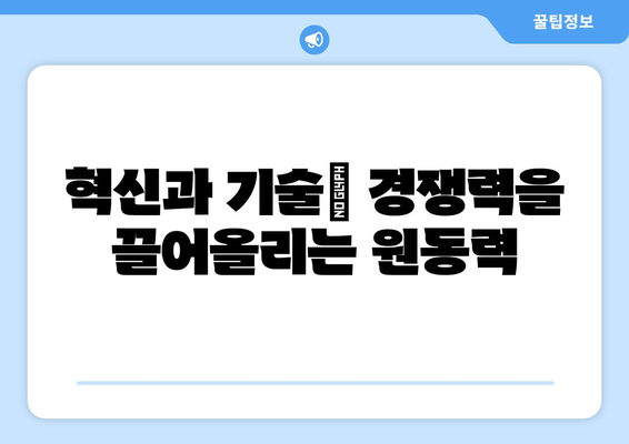 경제적 경쟁력 강화를 위한 전략