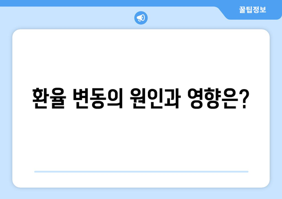 통화 가치와 환율의 이해 및 분석